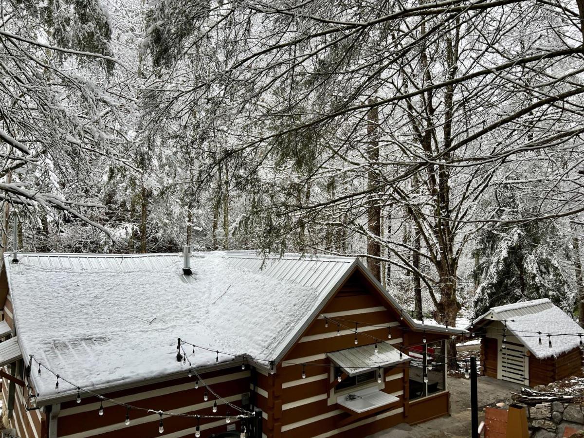 Beary Relaxing Cabin - Rustic With Outdoor Patio Townsend Luaran gambar